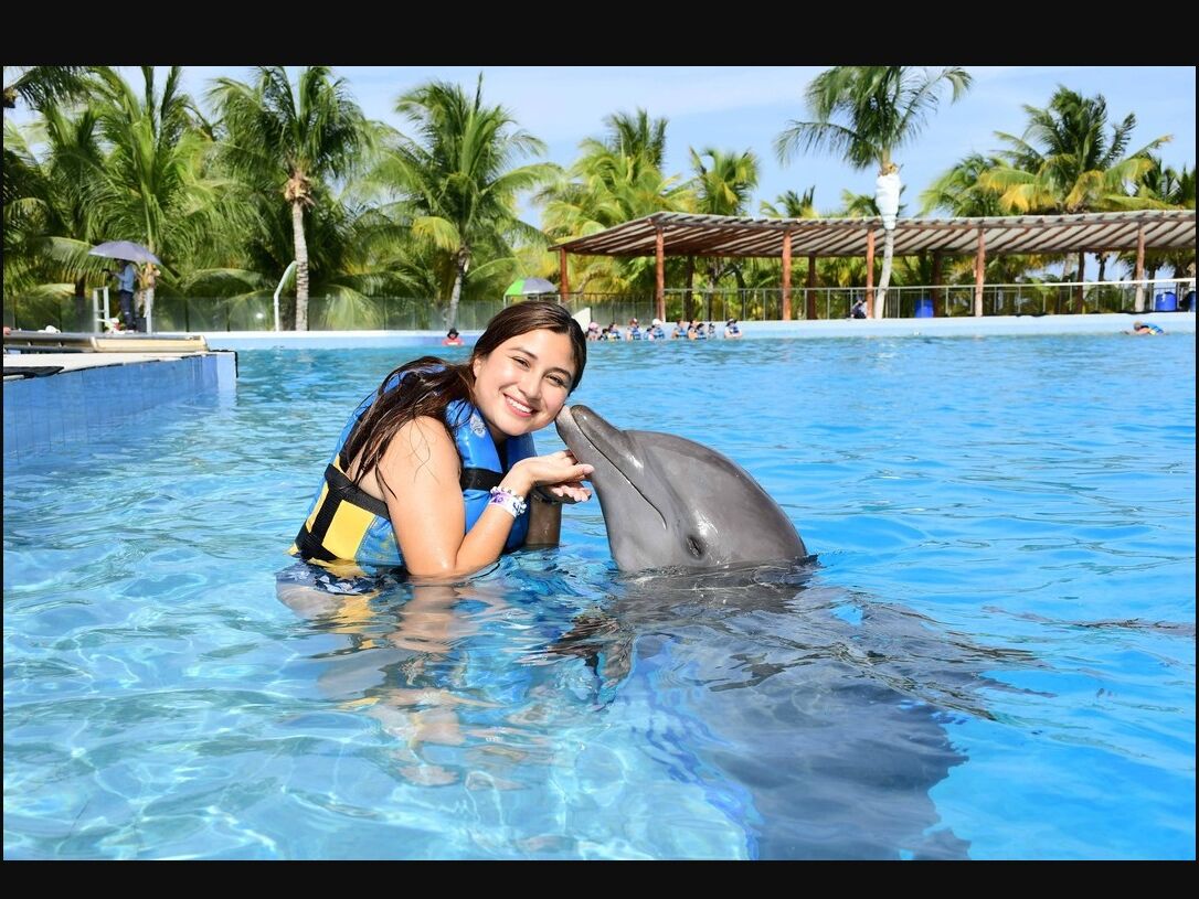 Picture of Dolphin Discovery Isla Mujeres