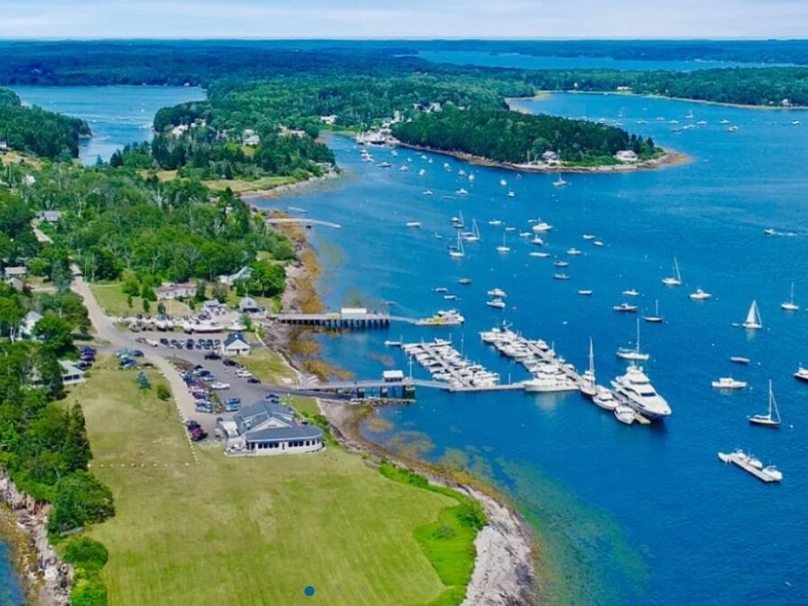 Picture of Dolphin Marina & Restaurant