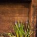 Rustic Green Table Name Arrangements