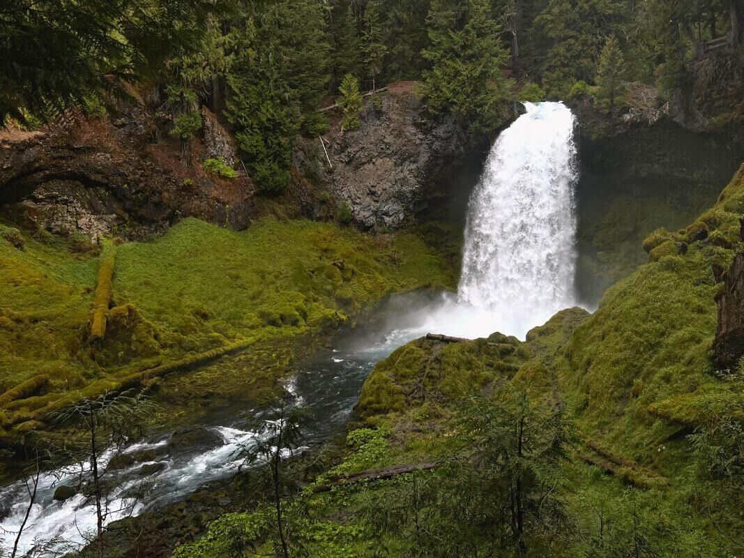 Picture of Sahalie Falls Viewpoint
