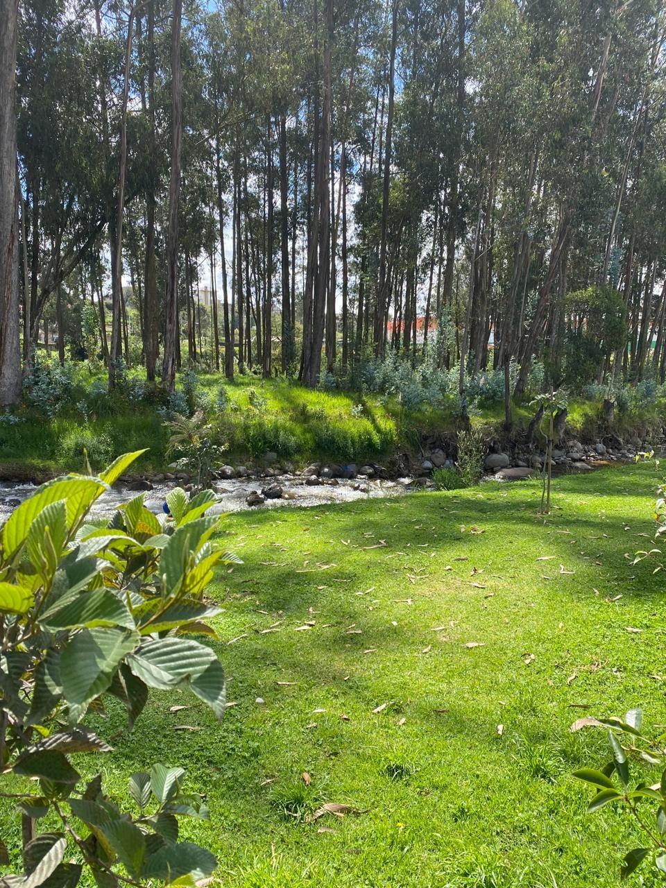 Picture of Parque Lineal Yanuncay