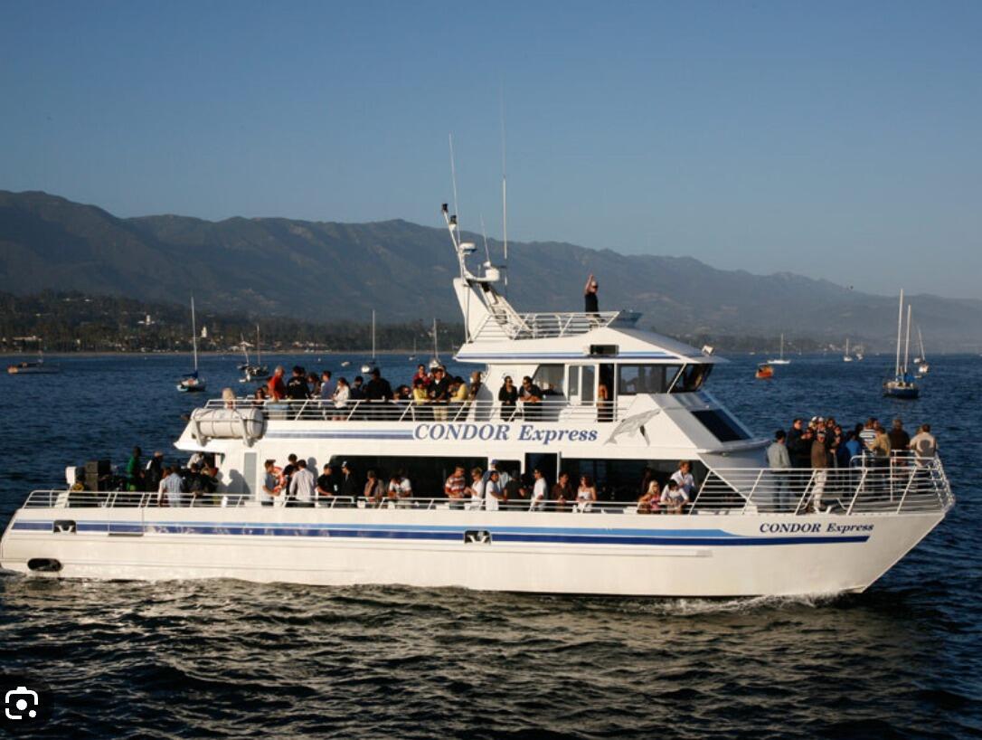 Picture of Whale Watching 