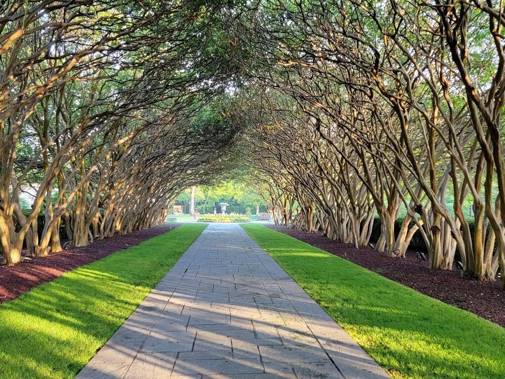 Picture of The Dallas Arboretum and Botanical Garden
