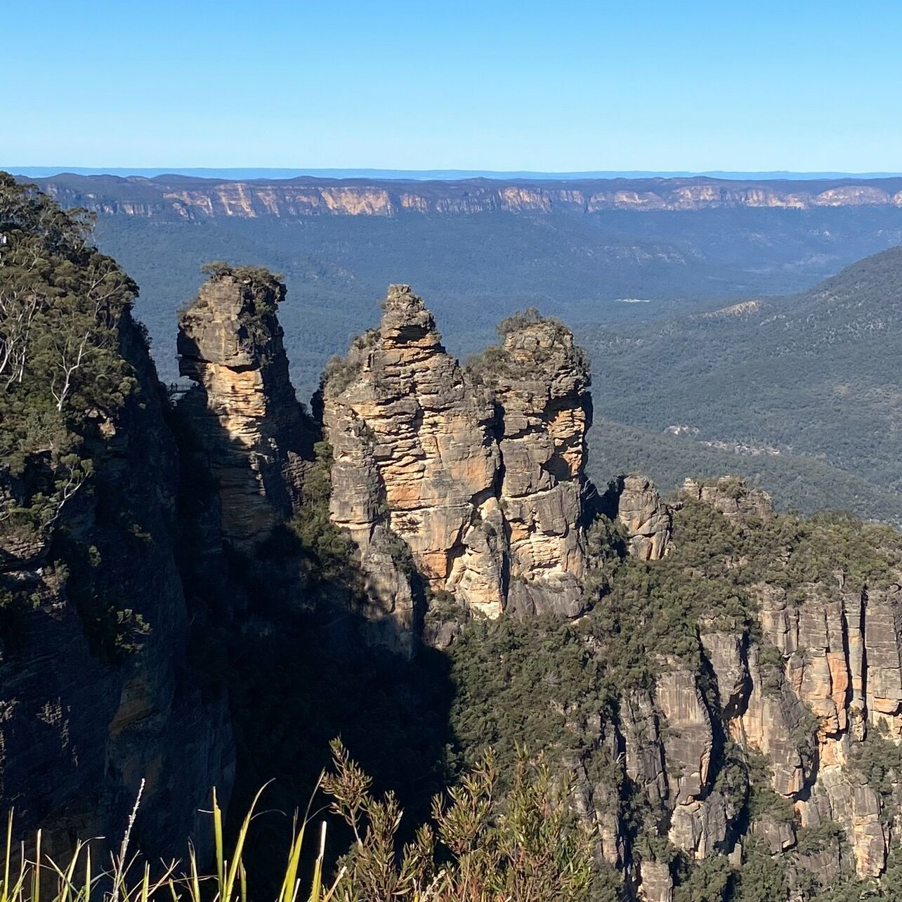 Picture of Blue Mountains National Park