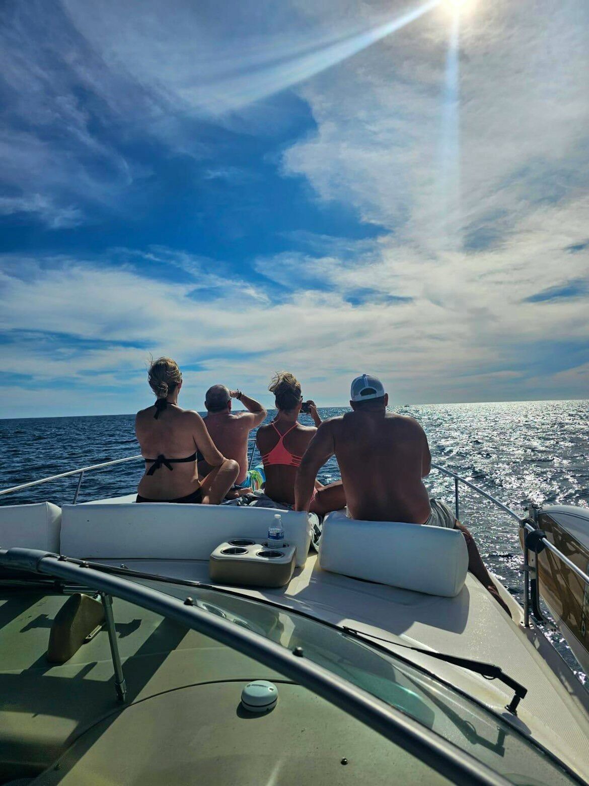 Picture of Whale Watching