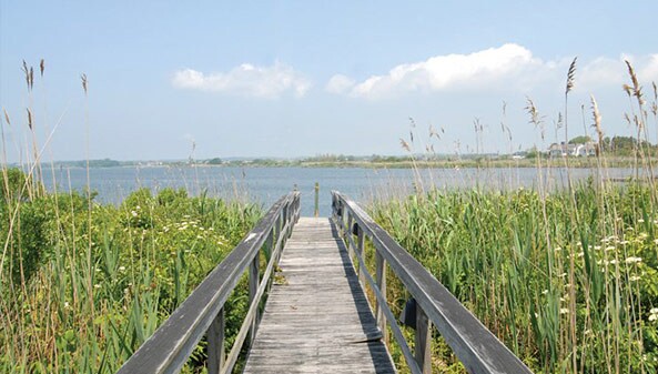 Cary & Douglas Home Page Banner