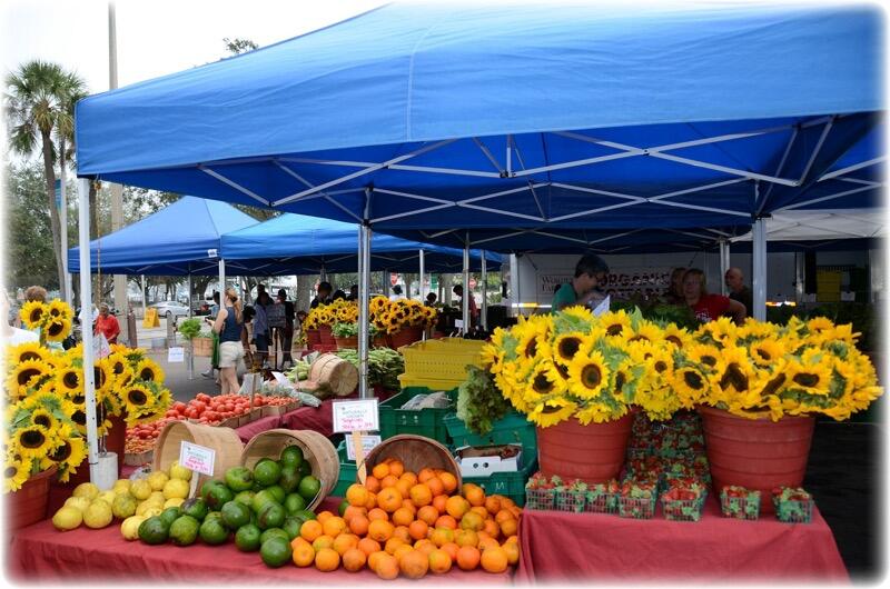 Picture of St. Petersburg Saturday Morning Market