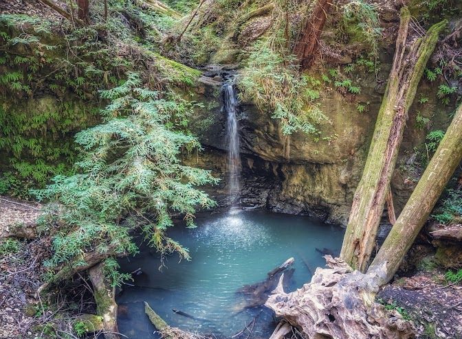 Picture of Big Basin Redwoods State Park