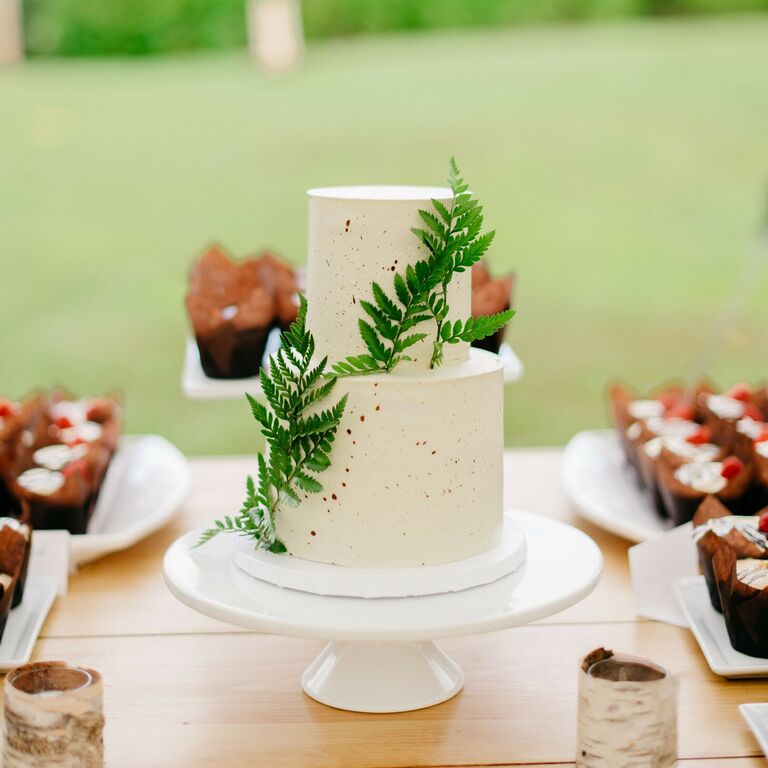 Rustic two-tier wedding cake with fern decorations