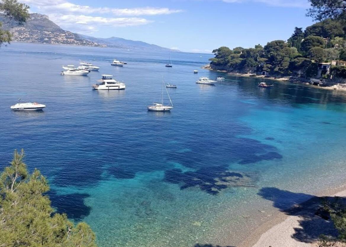 Picture of Visit Saint-Jean-Cap-Ferrat