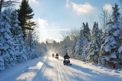 Picture of Snowmobiling