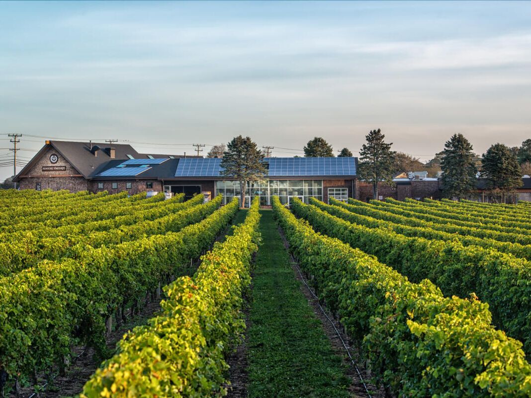 Picture of Newport Vineyards