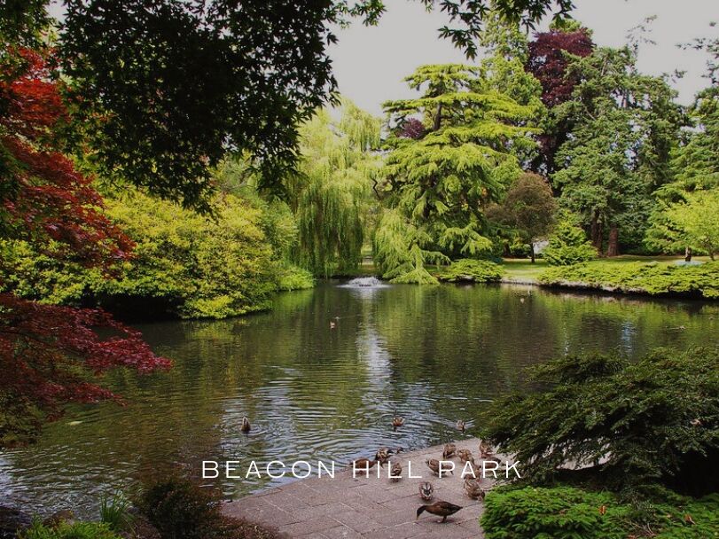 Picture of 5️⃣ Visit Beacon Hill Park