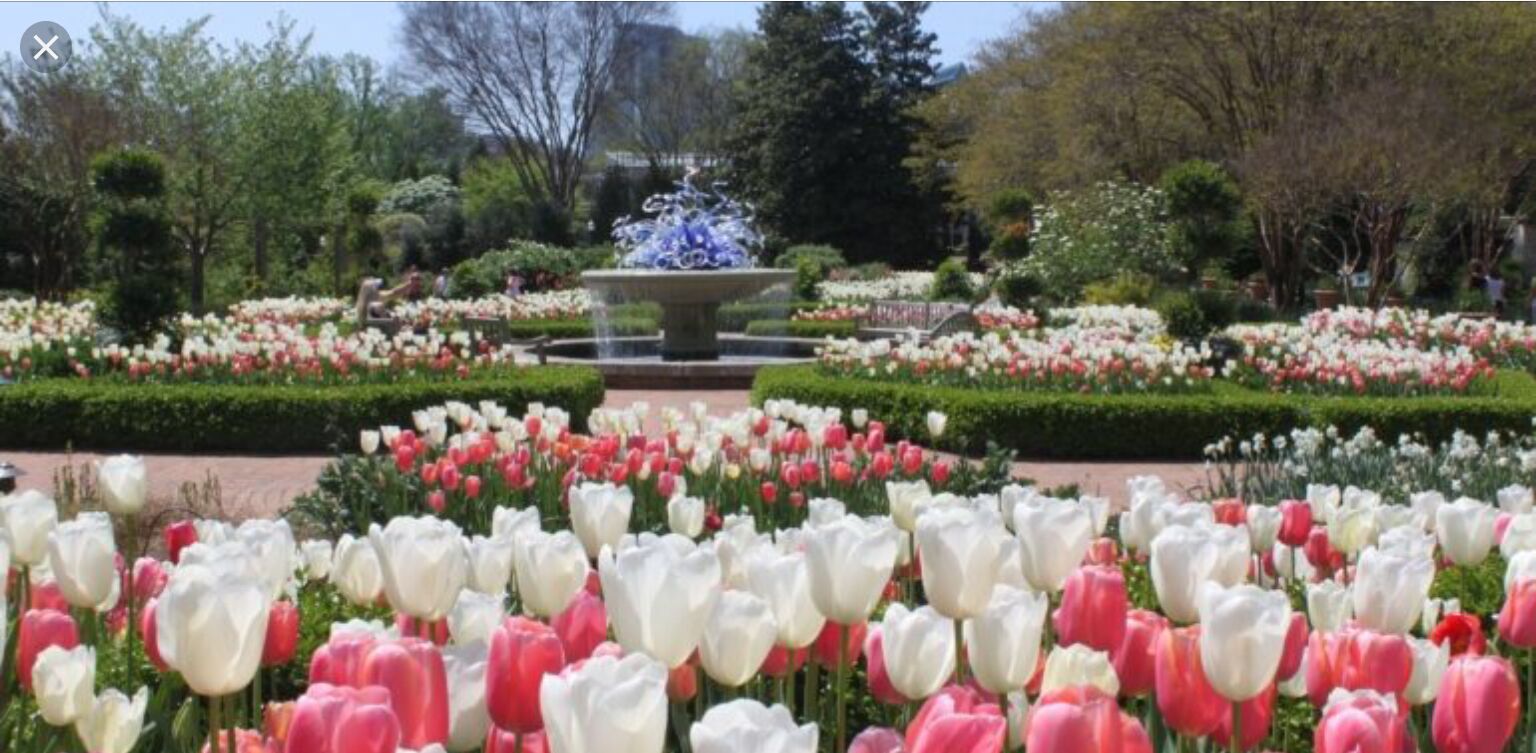 Picture of Atlanta Botanical Garden