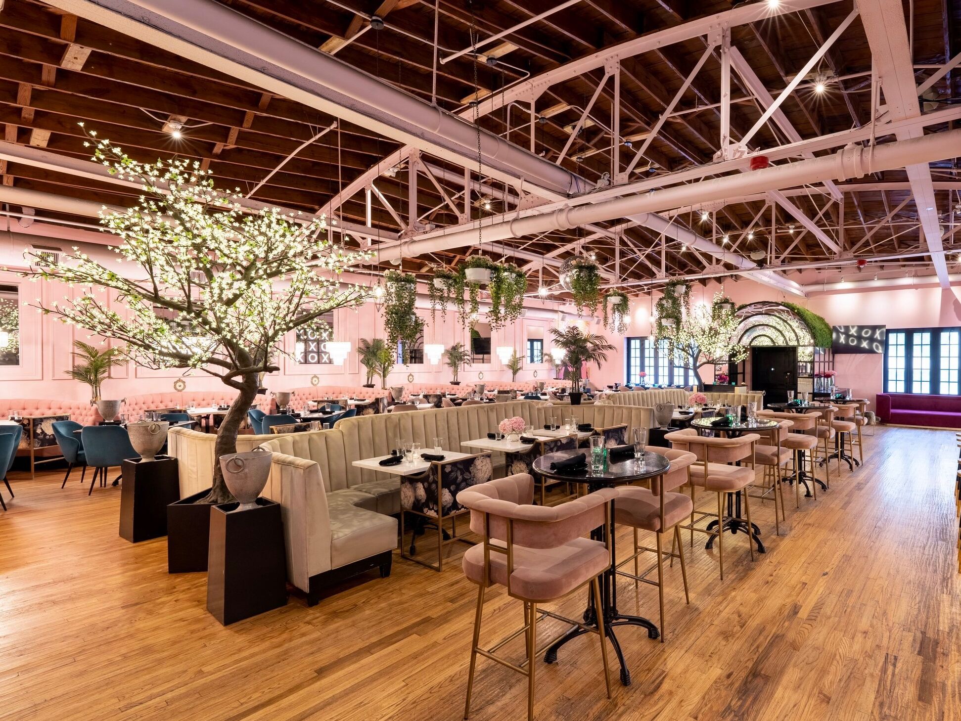 Picture of XOXO Dining Room
