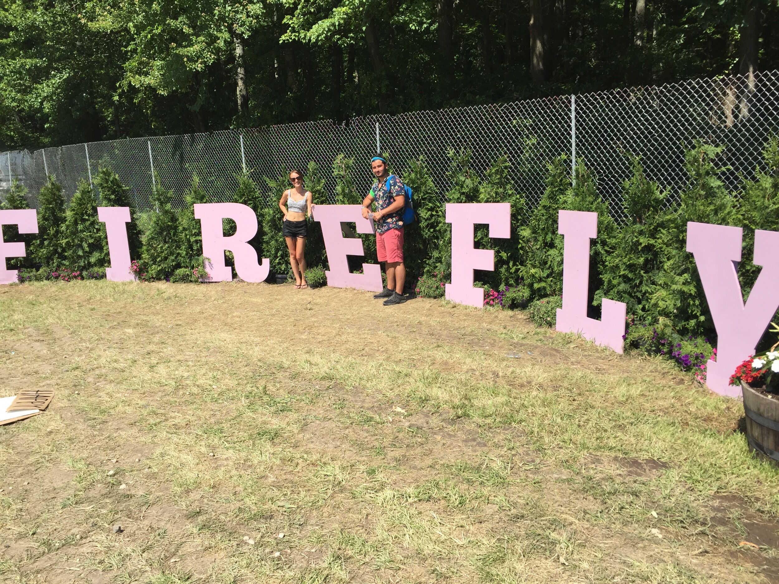 Picture of Summer 2016