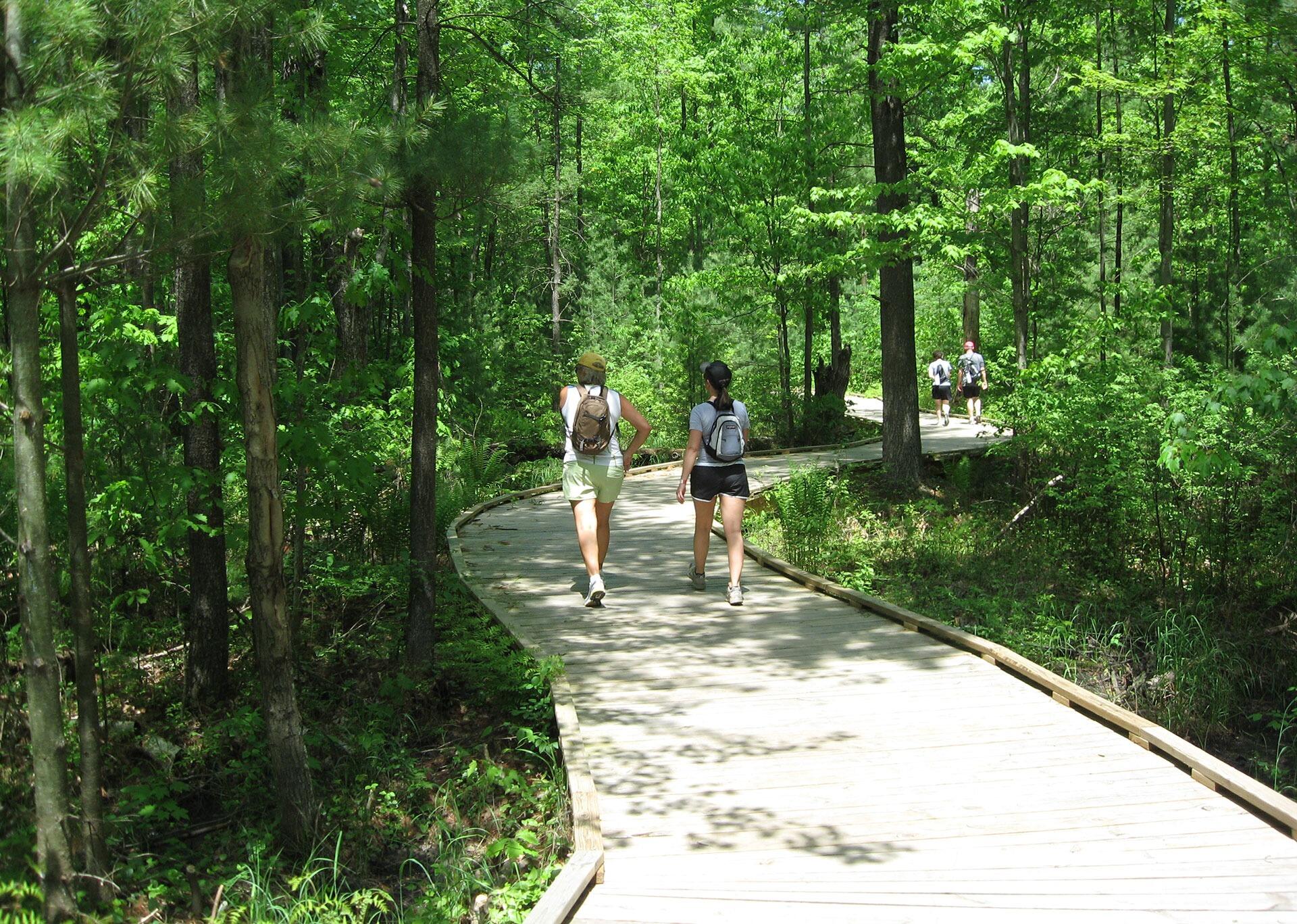 Picture of Green Circle Trailhead
