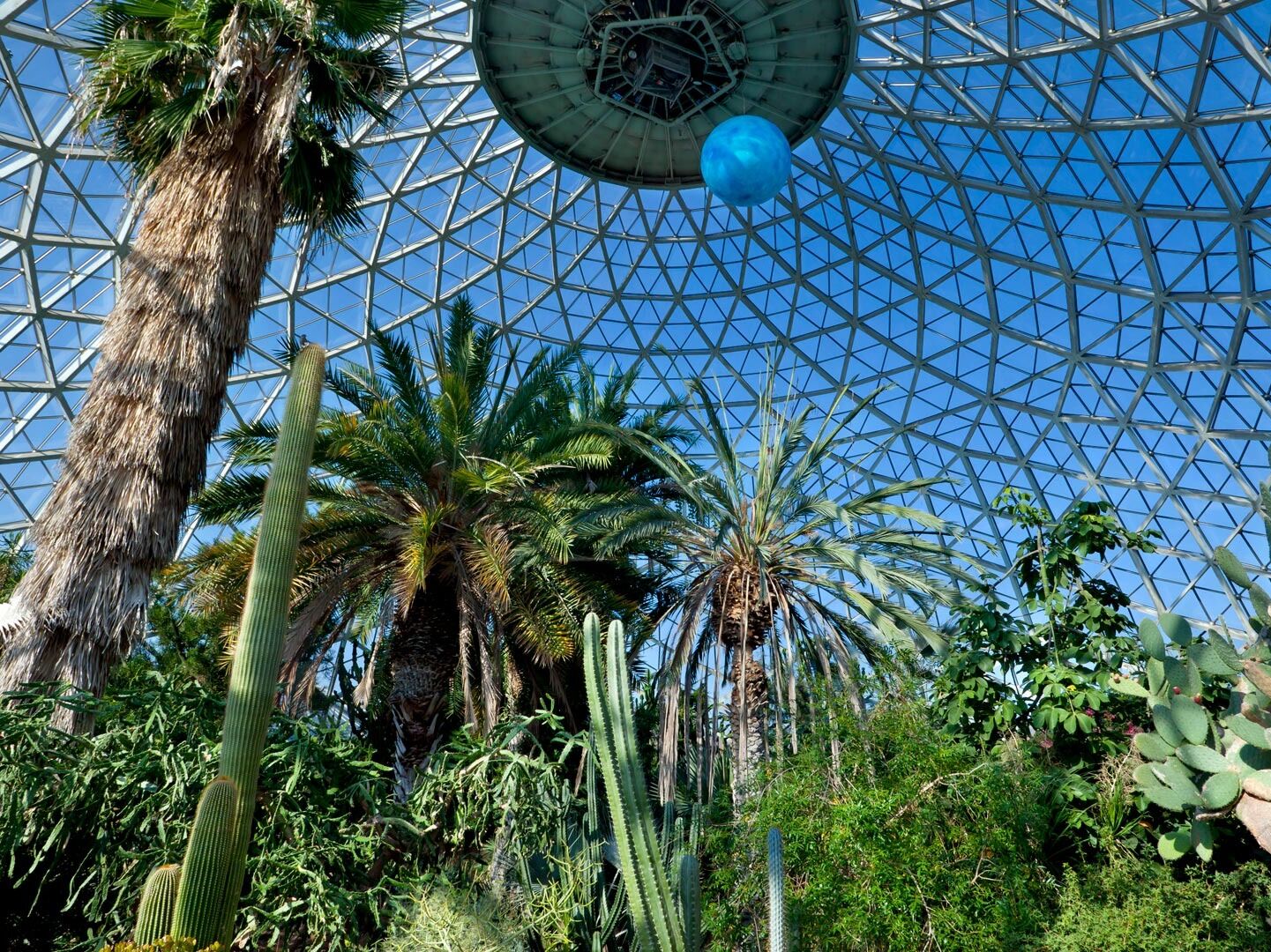 Picture of Mitchell Park Domes Horticulture Conservatory