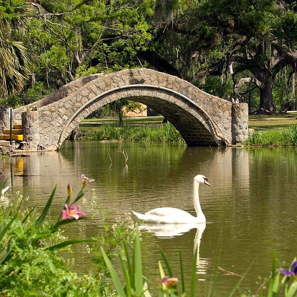 Picture of New Orleans City Park
