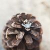 A Rustic Romantic Wedding at the Hyatt Regency Lake Tahoe Resort in Incline Village, Nevada