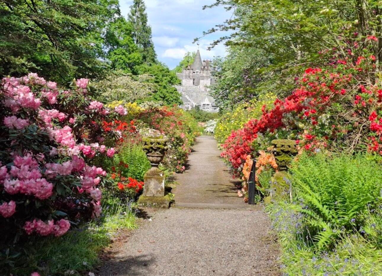 Picture of Dawyck Botanic Garden