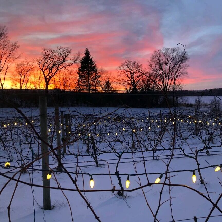 Picture of Salem Glen Winery