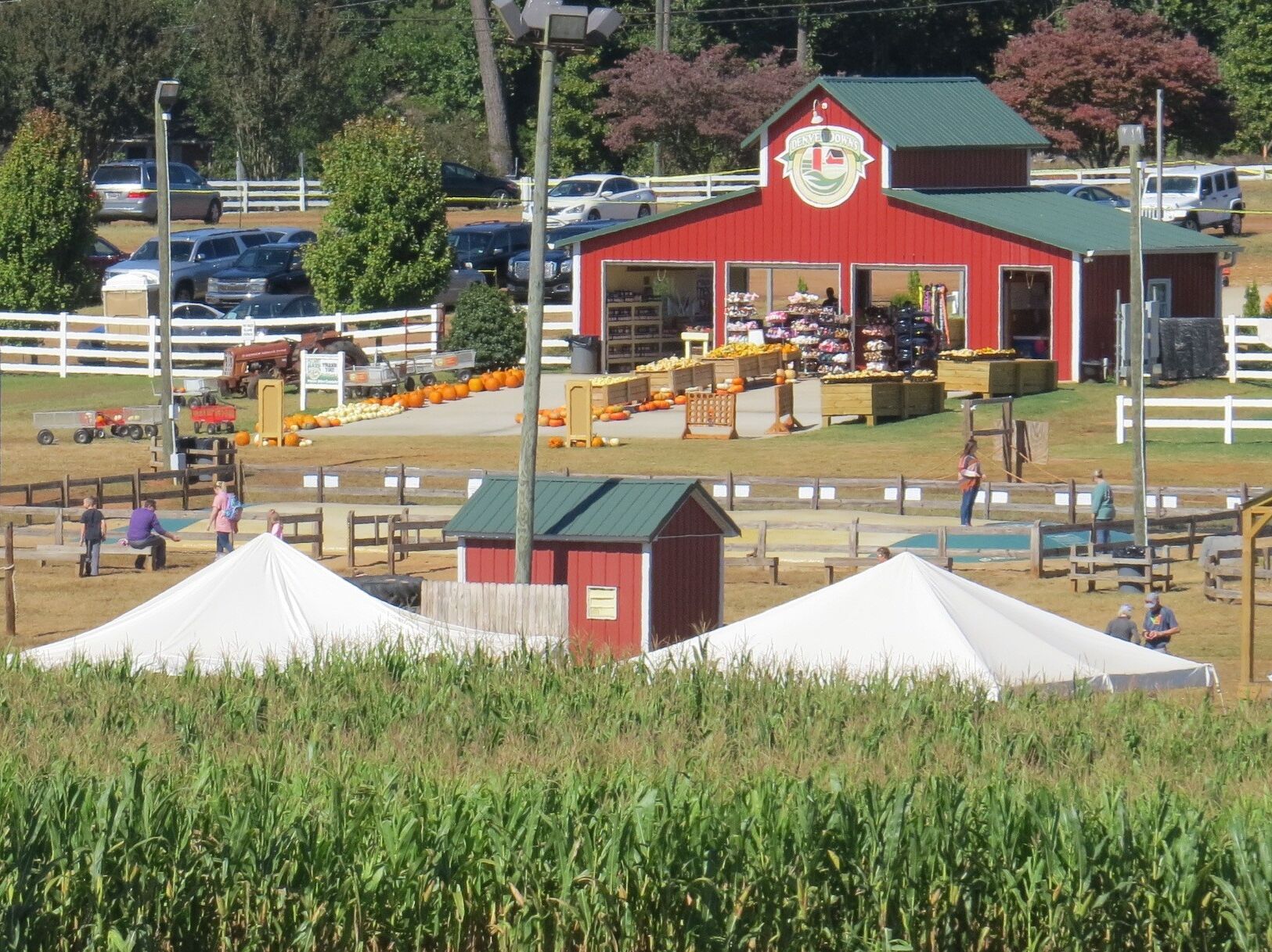 Picture of Denver Downs Farmstead