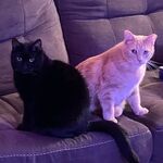 Nemi & Bumi