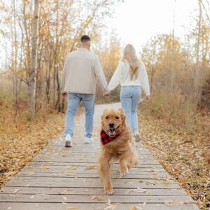 Gallery Photo 47