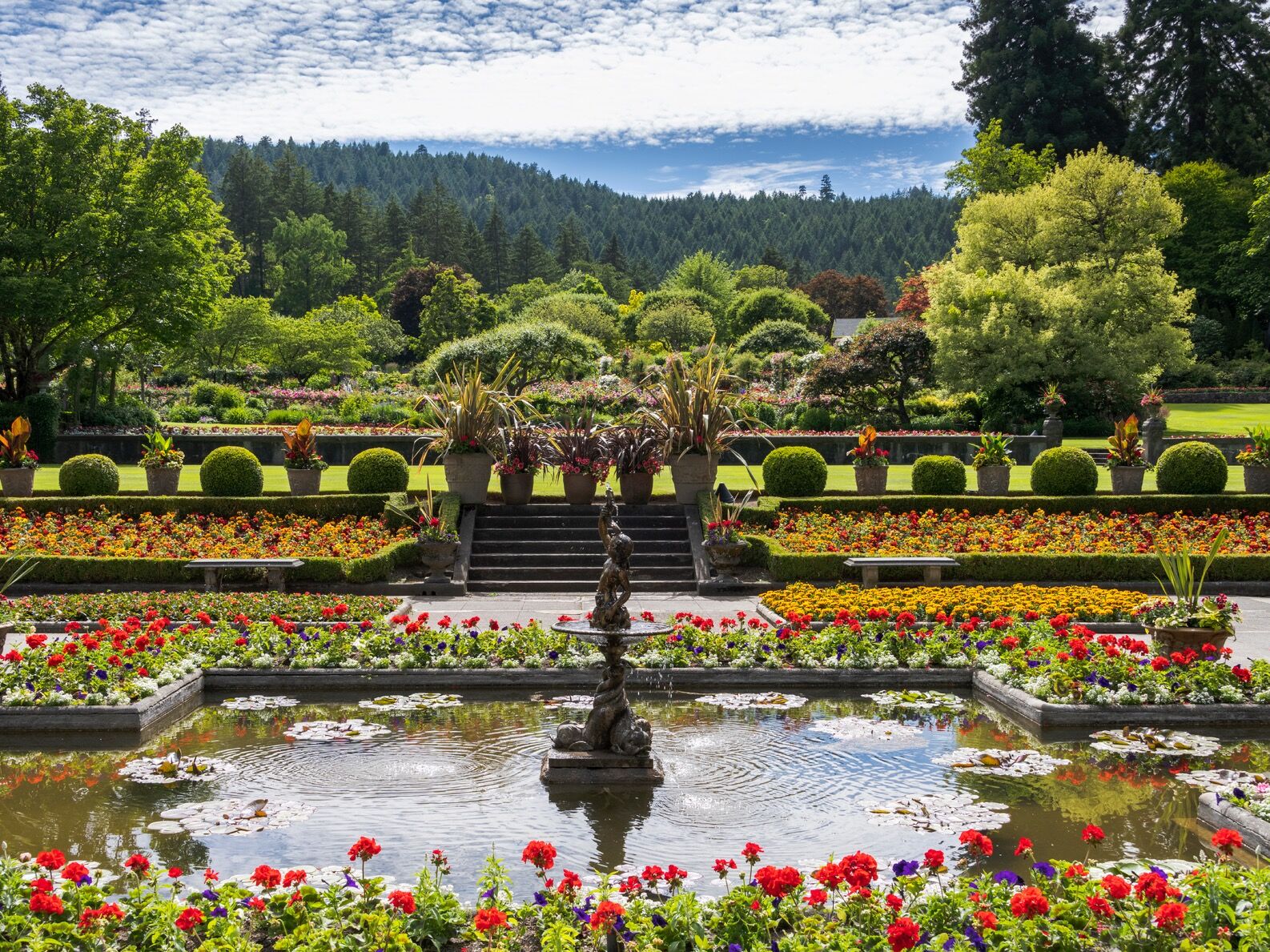 Picture of The Butchart Gardens