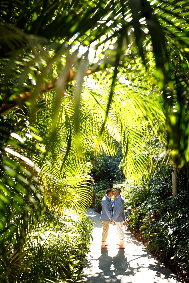 Tropical Discovery Cove First Look