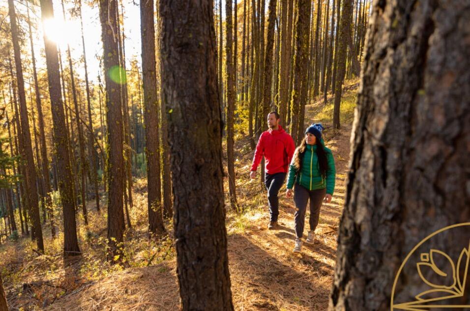 Picture of Hiking Scenic Idaho