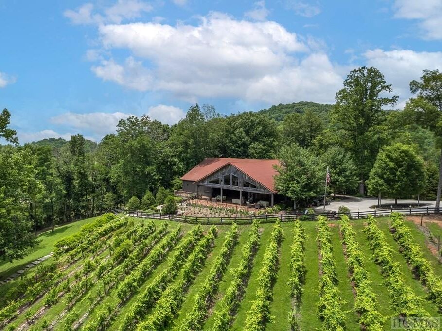 Picture of The Vineyard at High Holly