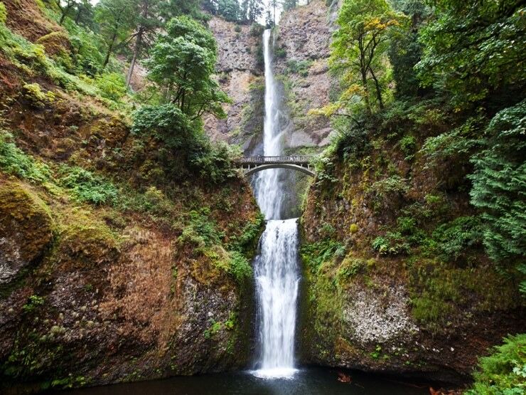 Picture of Multnomah Falls