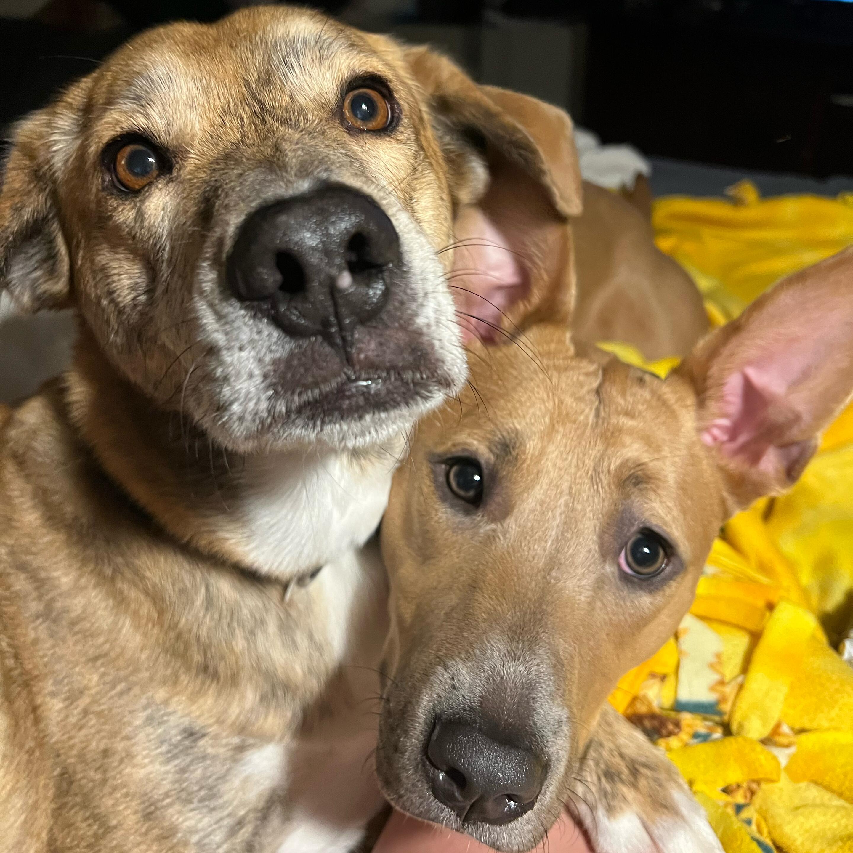 Luna & Rory