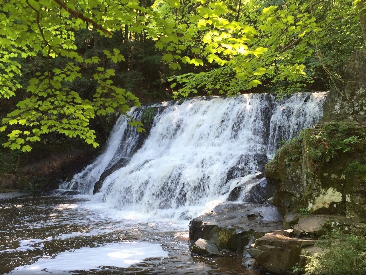 Picture of Wadsworth Falls State Park