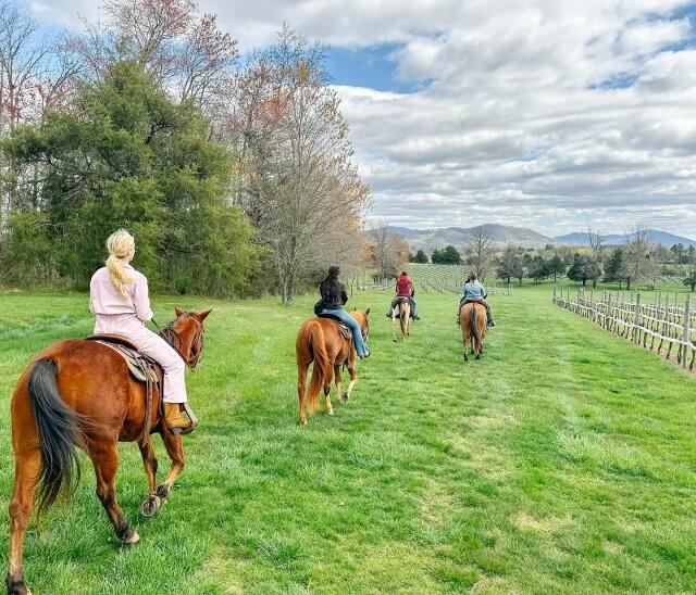 Picture of Indian Summer Horseback Riding
