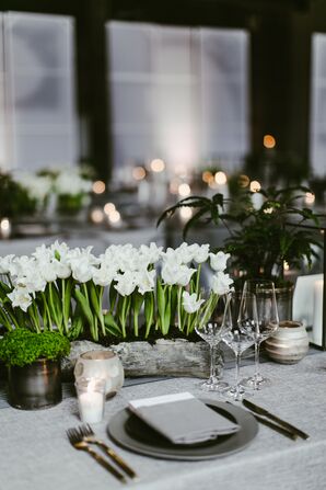 Modern Place Setting with Trough of White Tulips