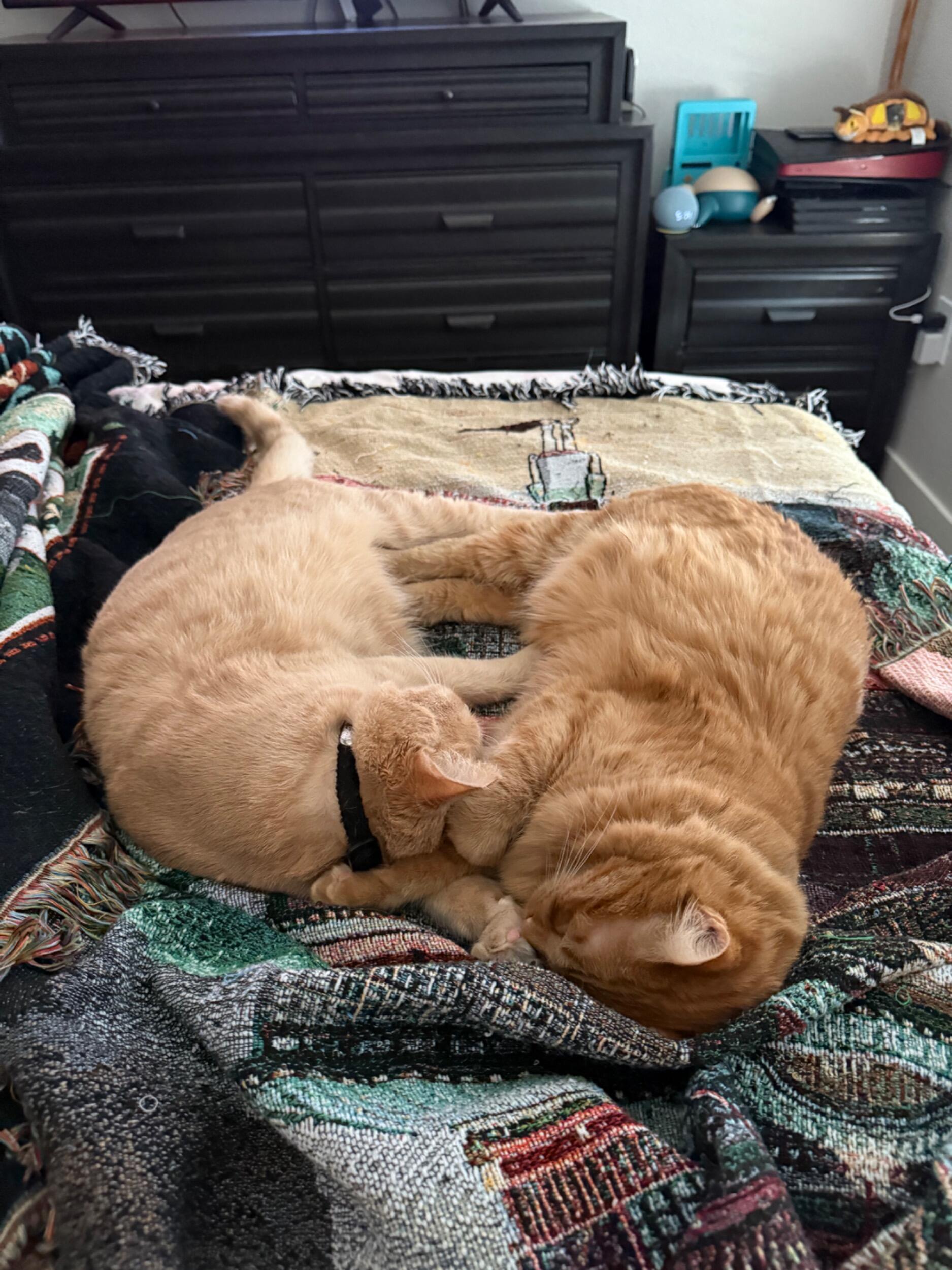 Ugh. My baby boys. I could gush about them for hours.