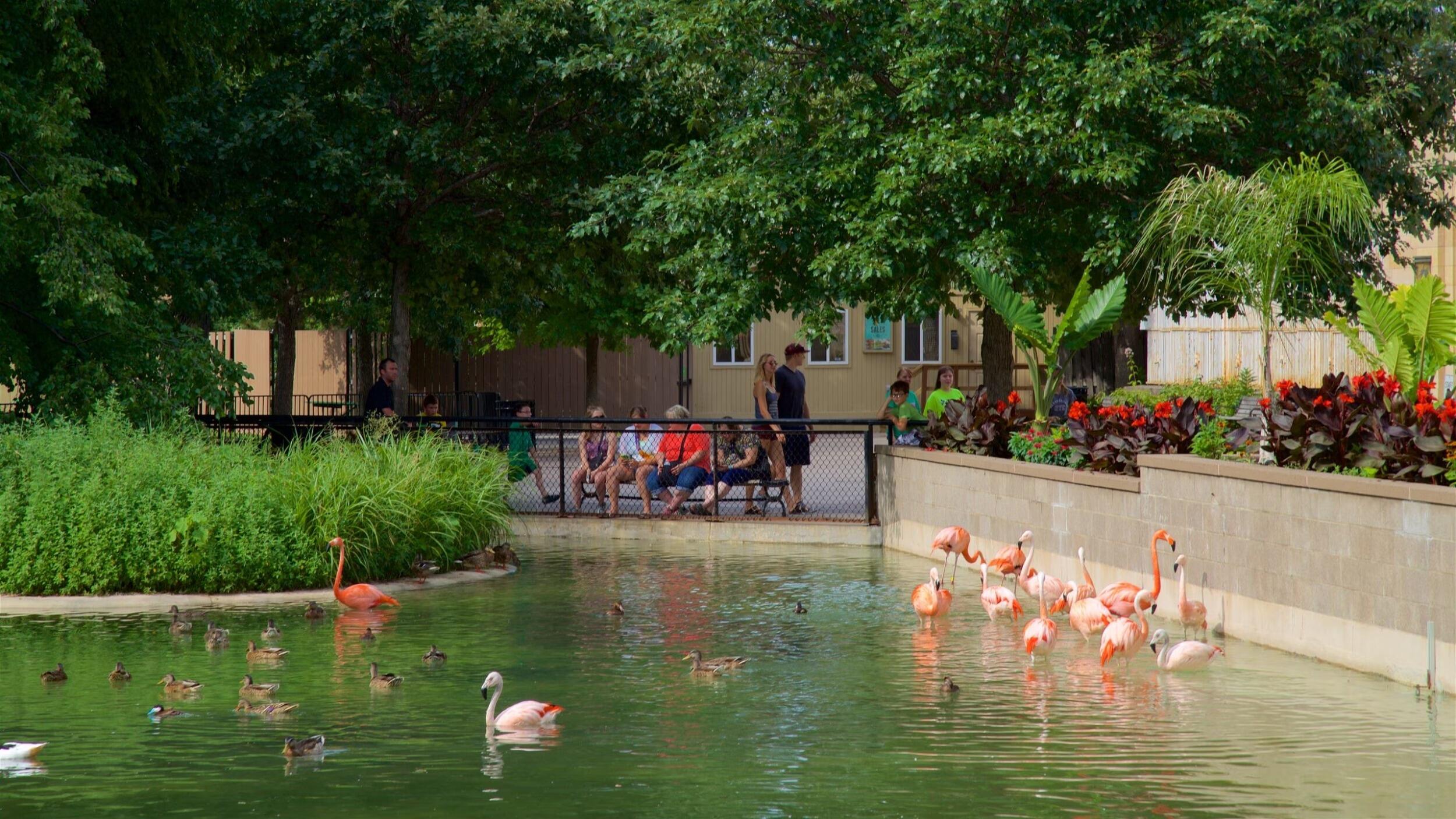 Picture of Como Park Zoo & Conservatory