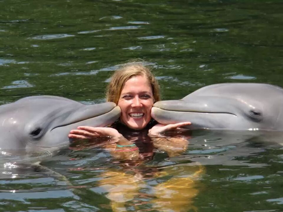 Picture of Swim with Dolphins