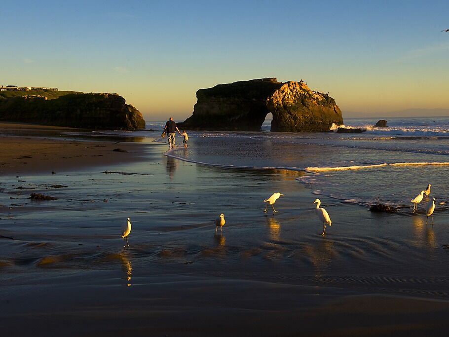 Picture of Natural Bridges State Beach