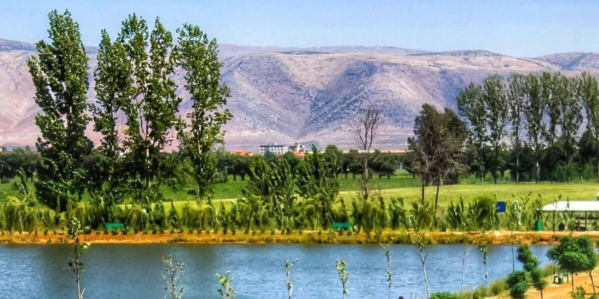 Picture of Domaine de Taanayel