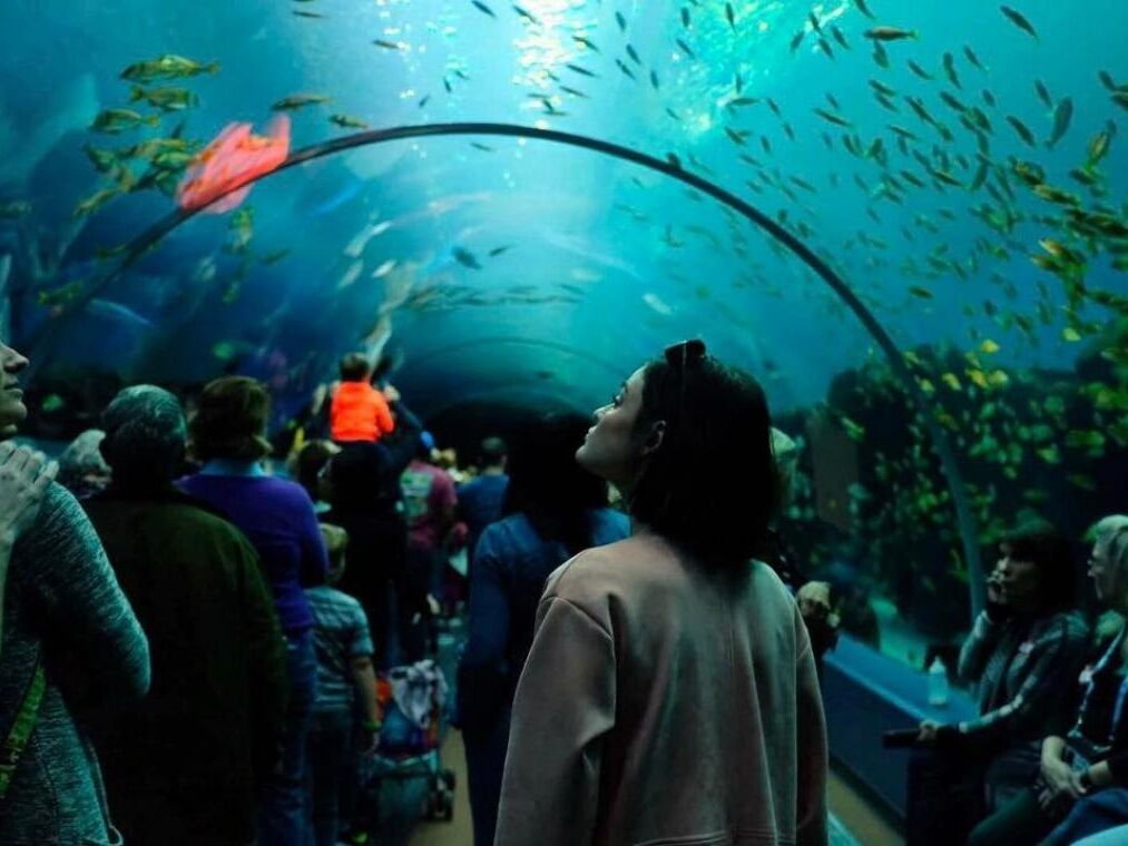 Picture of Georgia Aquarium