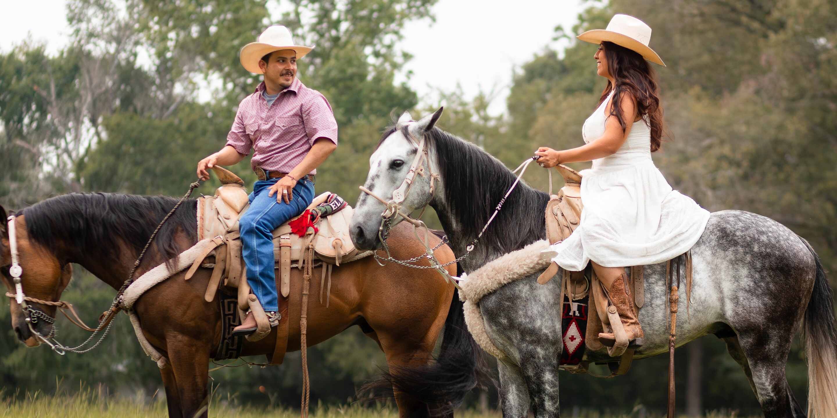 Alicia & Raul Home Page Banner