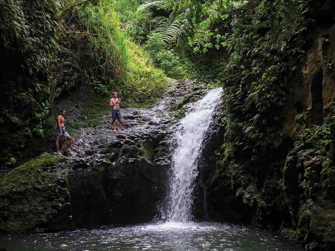 Picture of Maunawili Falls Trail