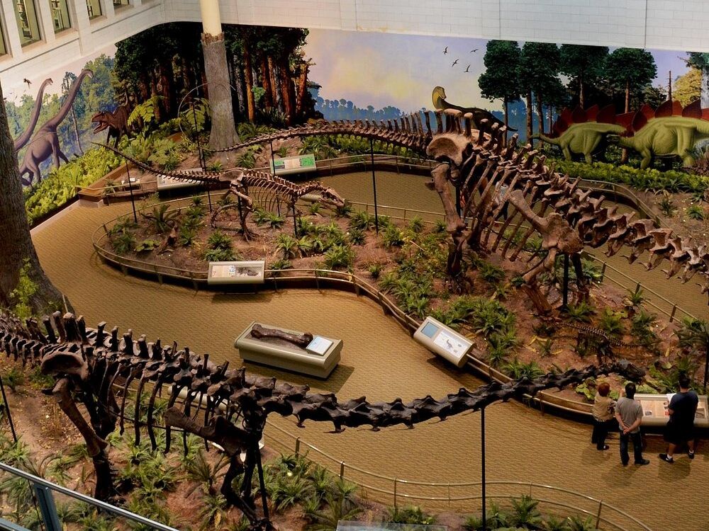 Picture of Carnegie Museum of Natural History