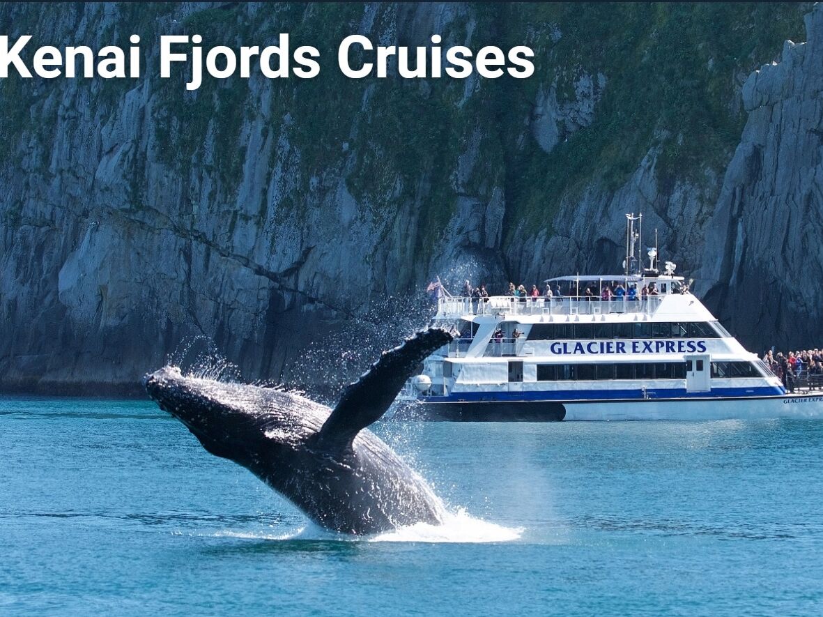 Picture of Kenai Fjords Day Cruise (Seward)
