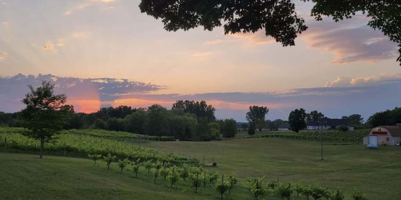 Picture of Cherry Creek Cellars 