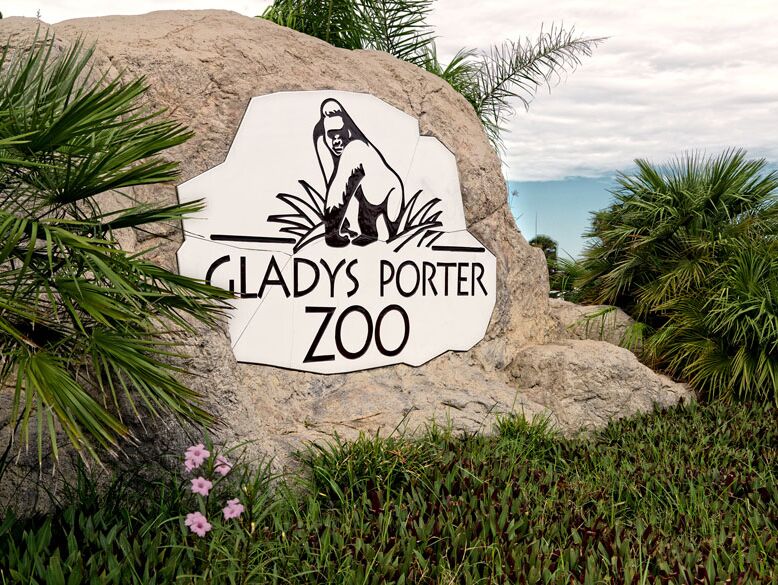 Picture of Gladys Porter Zoo